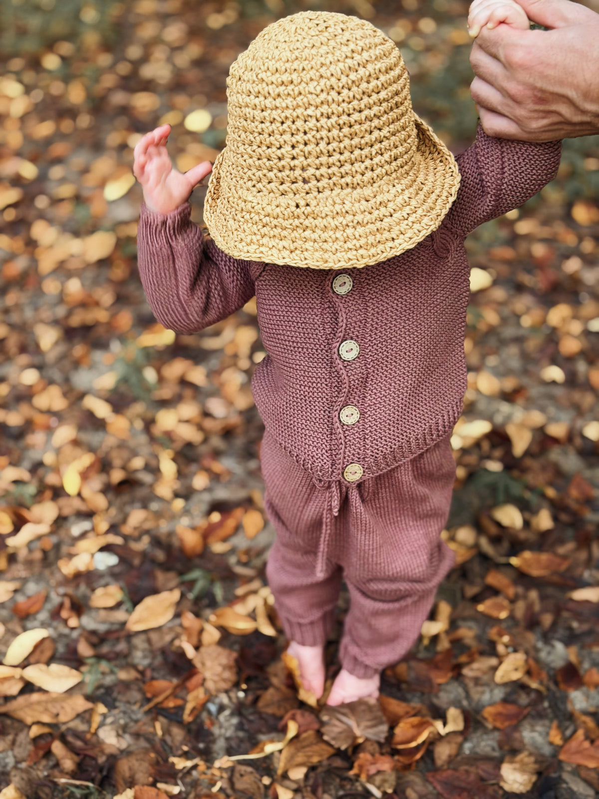 Koalav organic cotton jogger