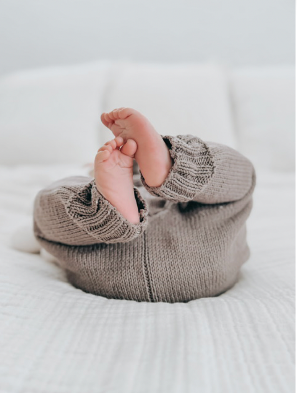 Koalav organic cotton jogger