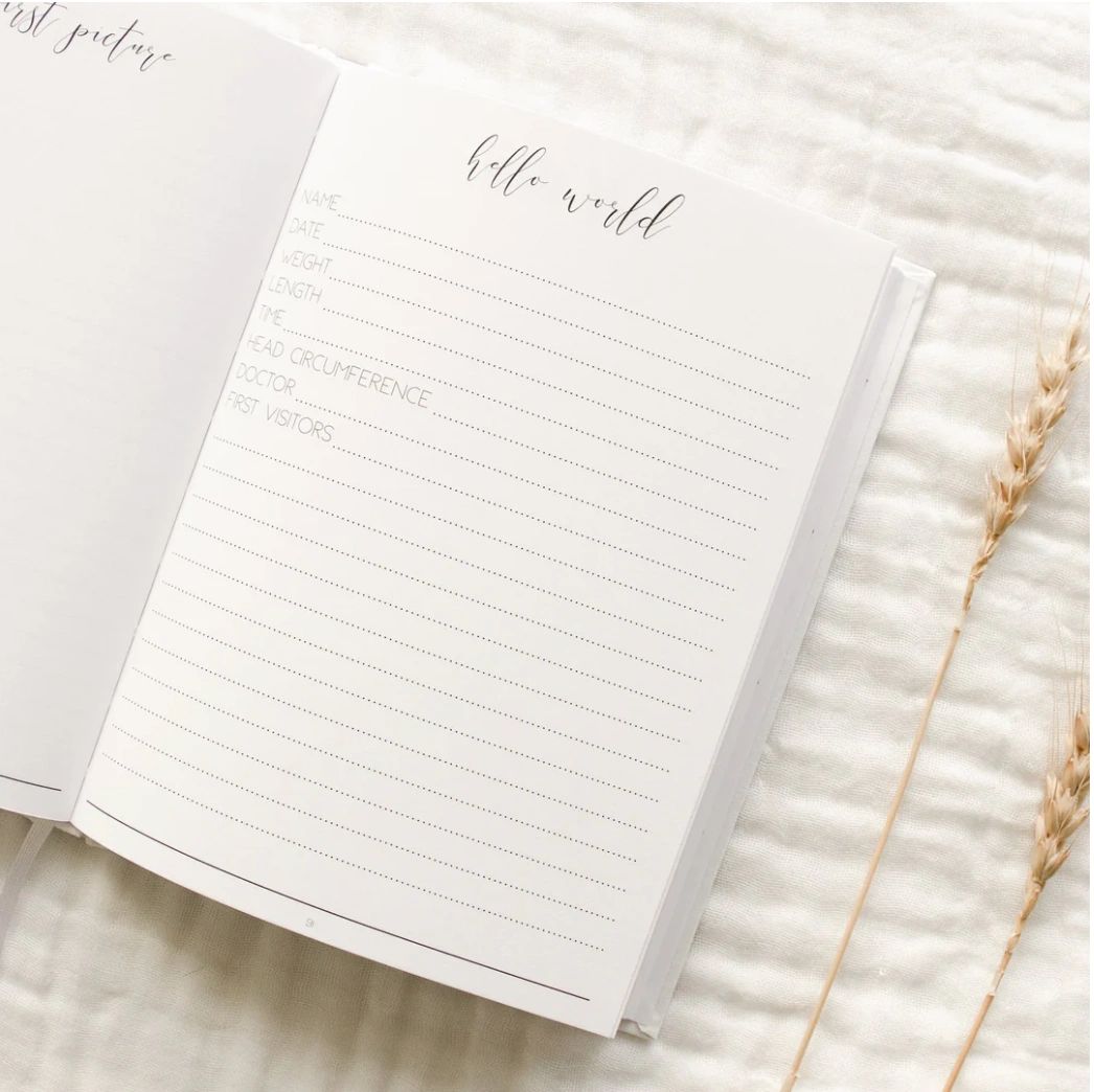 Blossom and Pear Hello Little Mama pregnancy journal