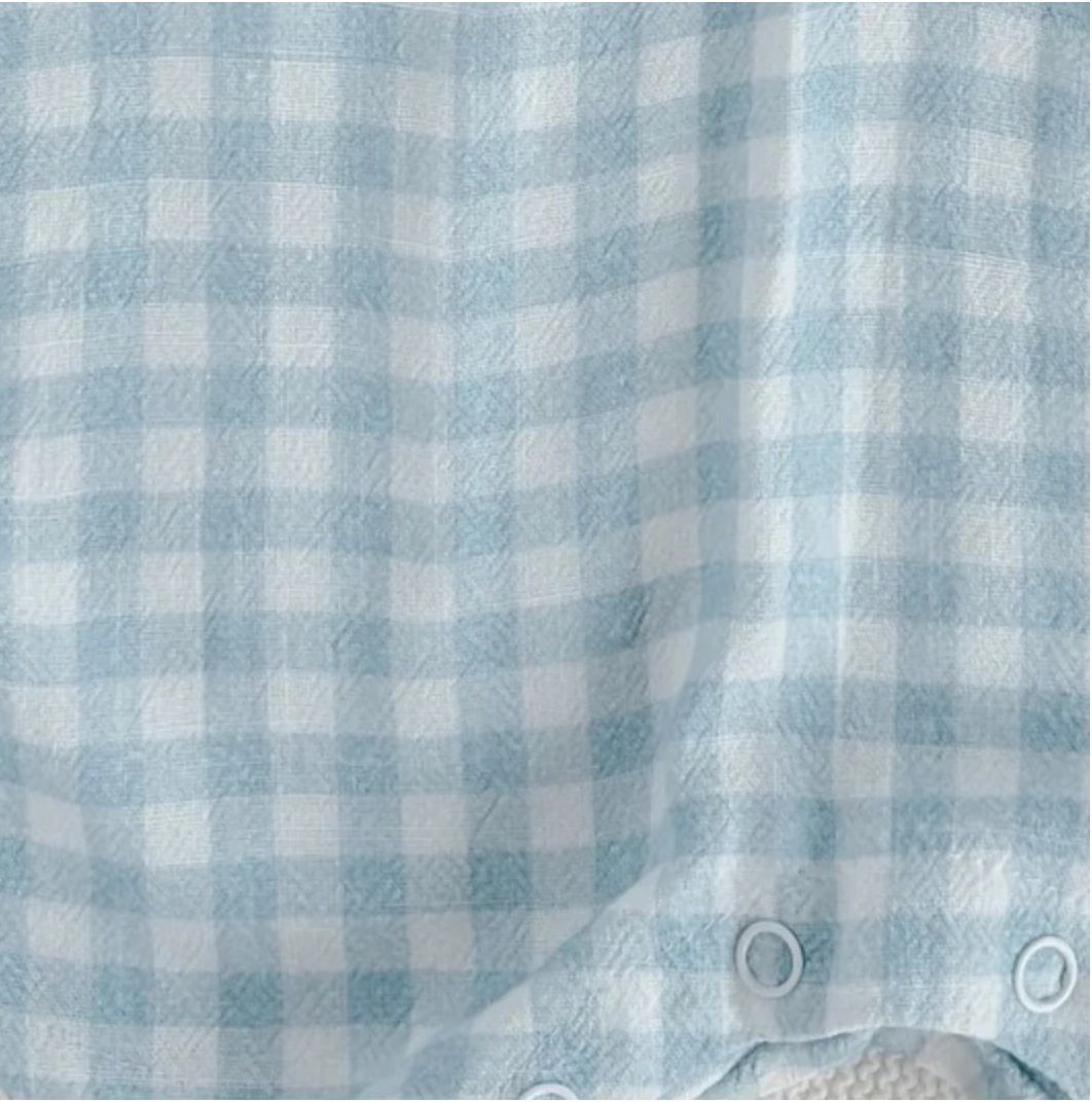 Blossom and Pear Bluebird Gingham Dress