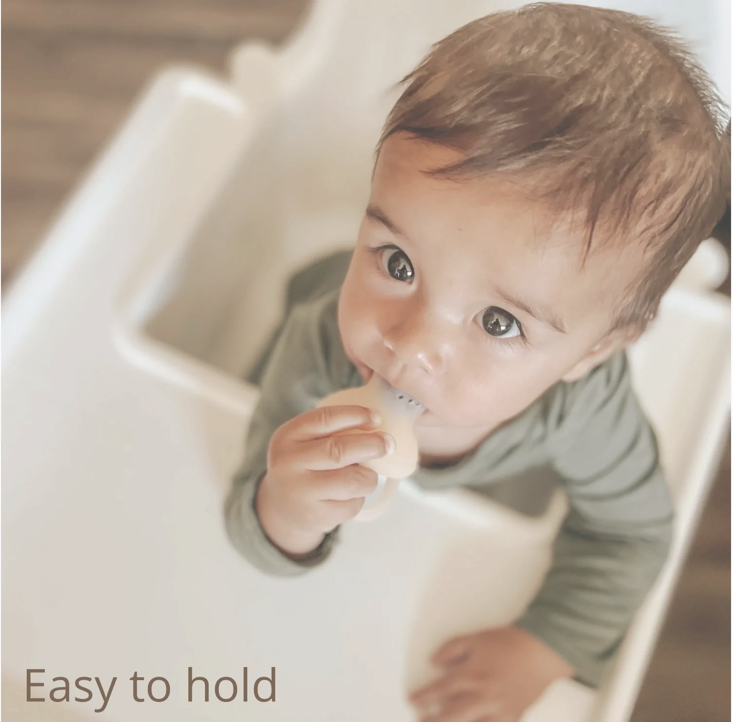 Ali + Oli silicone fruit and food feeder